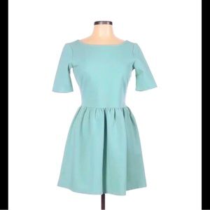 Zara Skater Dress (sz L)